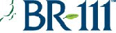Click to see BR111 Wood Floors